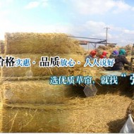生产环境