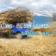生产环境